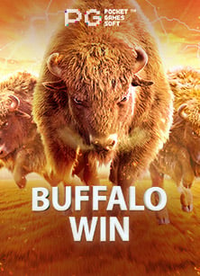 เว็บสล็อต ไว้ กิ้ งพนัน ออนไลน์ ขั้น ต่ํา 10 ที่คุณไม่ควรพลาด